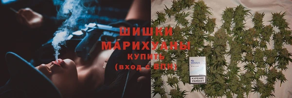 МДПВ Новозыбков