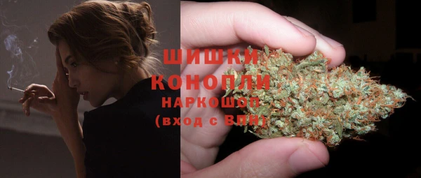 прущие крисы Новодвинск