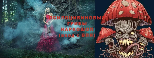 прущие крисы Новодвинск