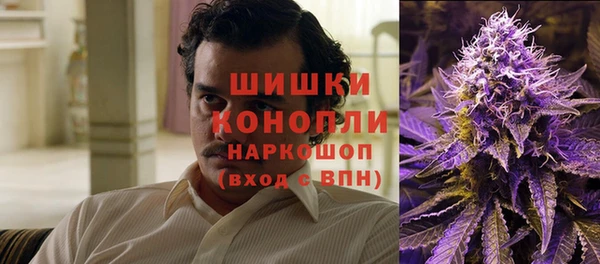 прущие крисы Новодвинск