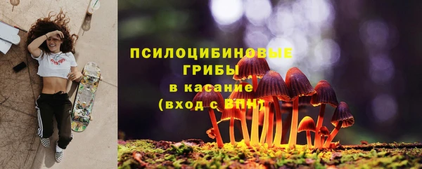 эйфоретик Валдай
