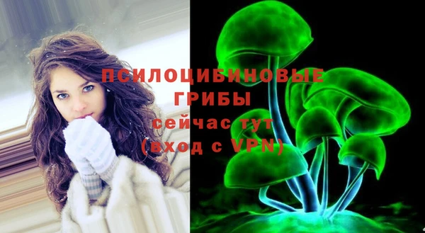 мет Няндома