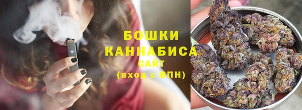 прущие крисы Новодвинск
