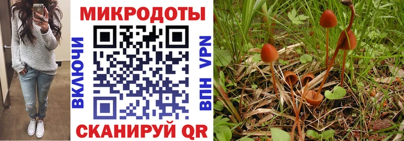 Псилоцибиновые грибы мицелий  Кологрив 